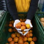 Das Bild zeigt mehrere gespendete Obst und Gemüsekisten. Davor ausgebreitete Hände halten einige Mandarinen hoch.