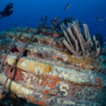 Die Unterwasseraufnahme zeigt Taucher die einen Reichhaltig überwachsenes Schiffswrack ertauchen.