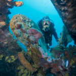Auf dieser Unterwasseraufnahme ist ein Taucher mit Tauchgerät an einem Schiffswrack auf den niederländischen Antillen zu erkennen.