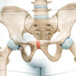 Symbolbild des Beckens von vorne mit gut erkennbarer Symphyse und den Iliosakralen Gelenkspalten.