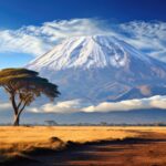 Wunderschöne Aufnahme des Kilimandscharo Berges aufgenommen aus einem Nationalparkt.